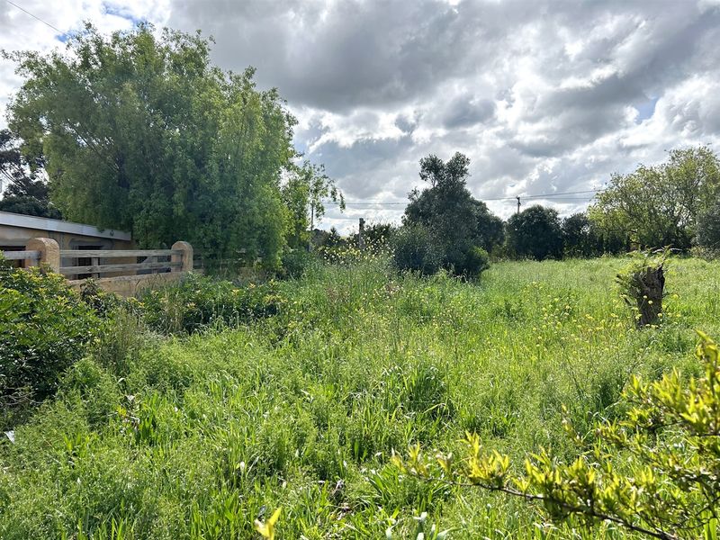 A Blank Canvas waiting to be Transformed - Photo 3