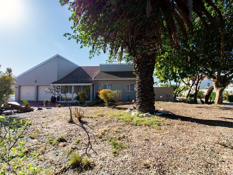 Front elevation of a residential house featuring a double garage, tiled roof, and a large mature palm tree in the front garden.