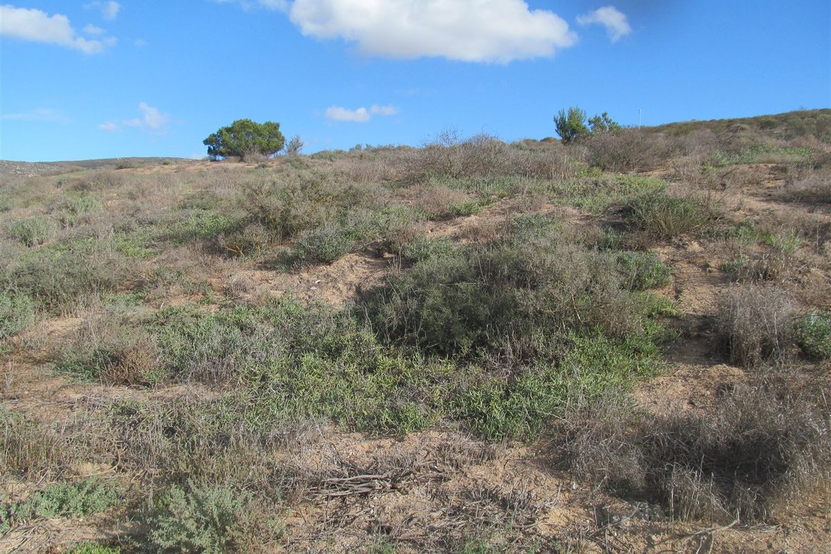 Vacant erf for sale in Britannica Heights! St Helena Bay - Photo 5