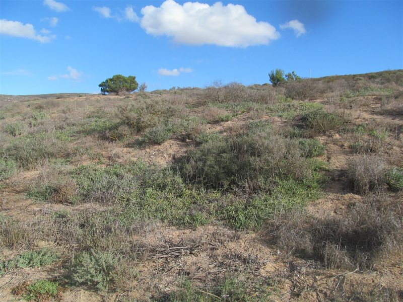 Vacant erf for sale in Britannica Heights! St Helena Bay - Photo 5