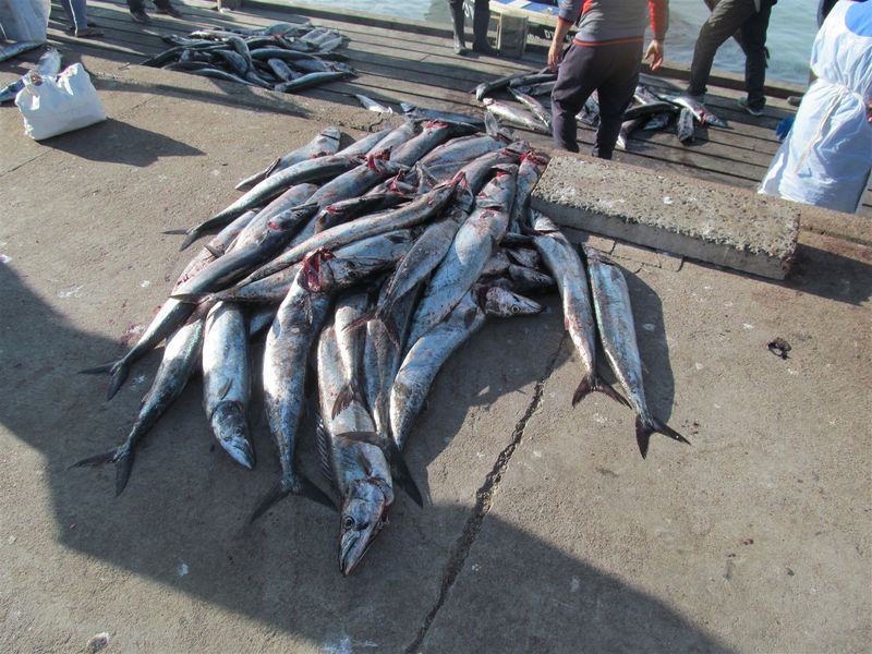 Vacant erf for sale in Britannica Heights! St Helena Bay - Photo 6