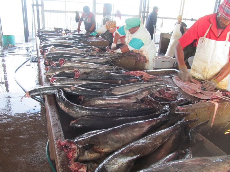 Vacant erf for sale in Britannica Heights! St Helena Bay - Photo 7