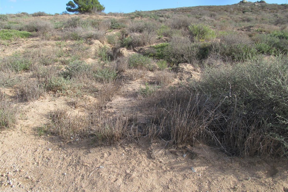 This 960 sqm plot is a well priced fully serviced stand in S - Photo 4