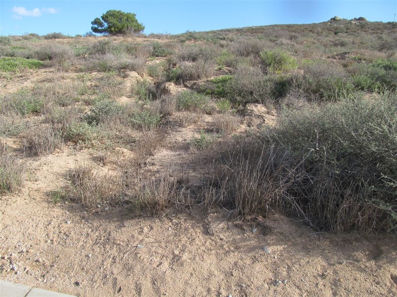 This 960 sqm plot is a well priced fully serviced stand in S - Photo 4