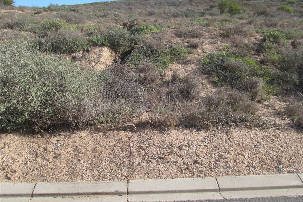 This 960 sqm plot is a well priced fully serviced stand in S - Photo 3