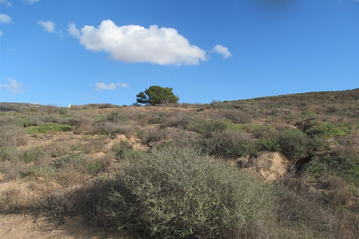 This 960 sqm plot is a well priced fully serviced stand in S - Photo 2