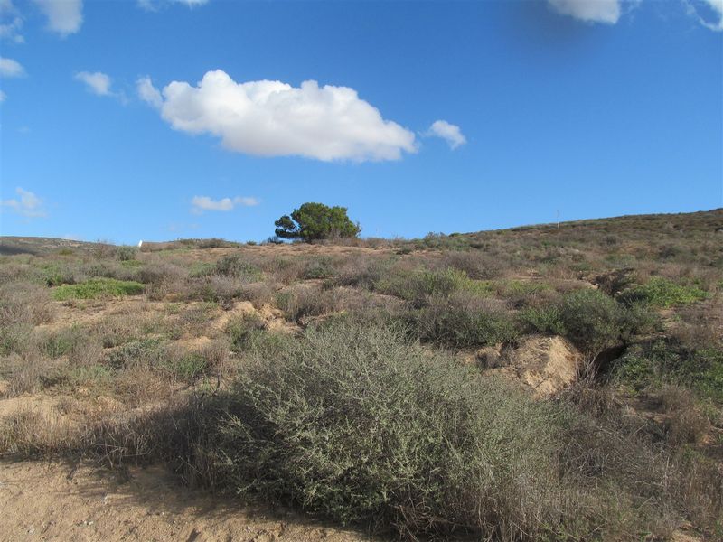 This 960 sqm plot is a well priced fully serviced stand in S - Photo 2