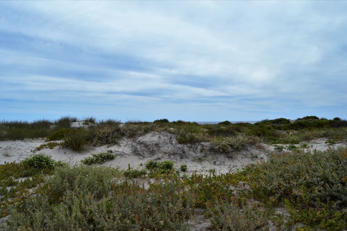 Sunrise AND sunset. Now that's Location, Location, Location! - Photo 3