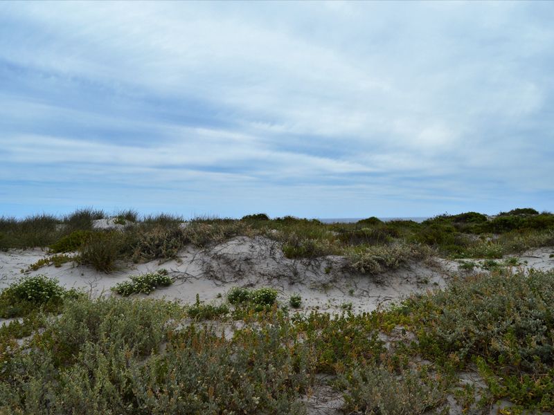 Sunrise AND sunset. Now that's Location, Location, Location! - Photo 3