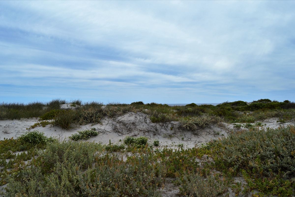 Sunrise AND sunset. Now that's Location, Location, Location! - Photo 2