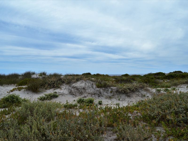 Sunrise AND sunset. Now that's Location, Location, Location! - Photo 2