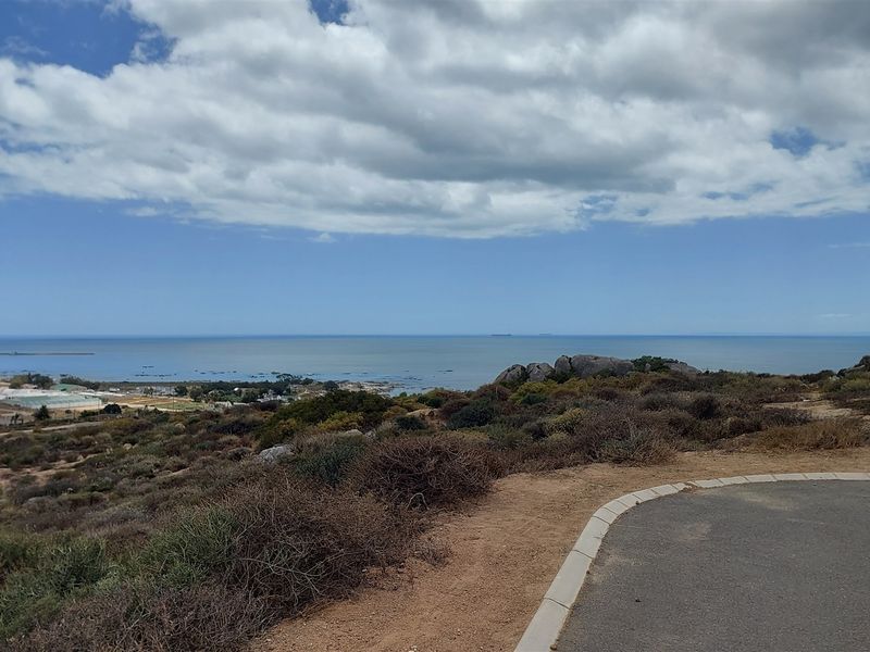 High tides, Good vibes - Photo 3