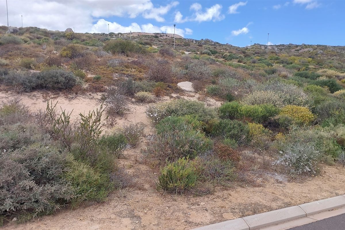 High tides, Good vibes - Photo 2