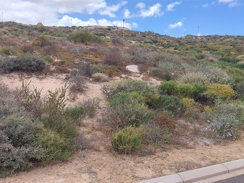 High tides, Good vibes - Photo 2