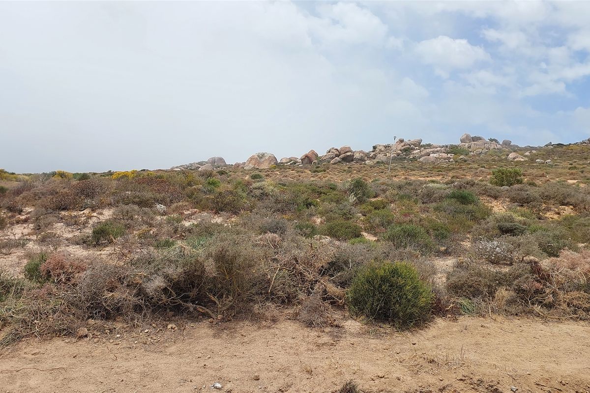 I can sea clearly now - Photo 3