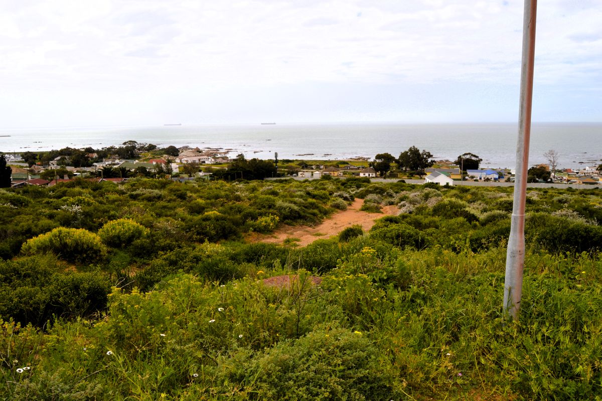 I assuredly do love this view - Photo 3