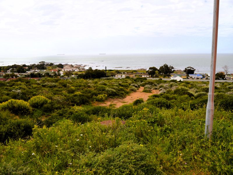 I assuredly do love this view - Photo 3