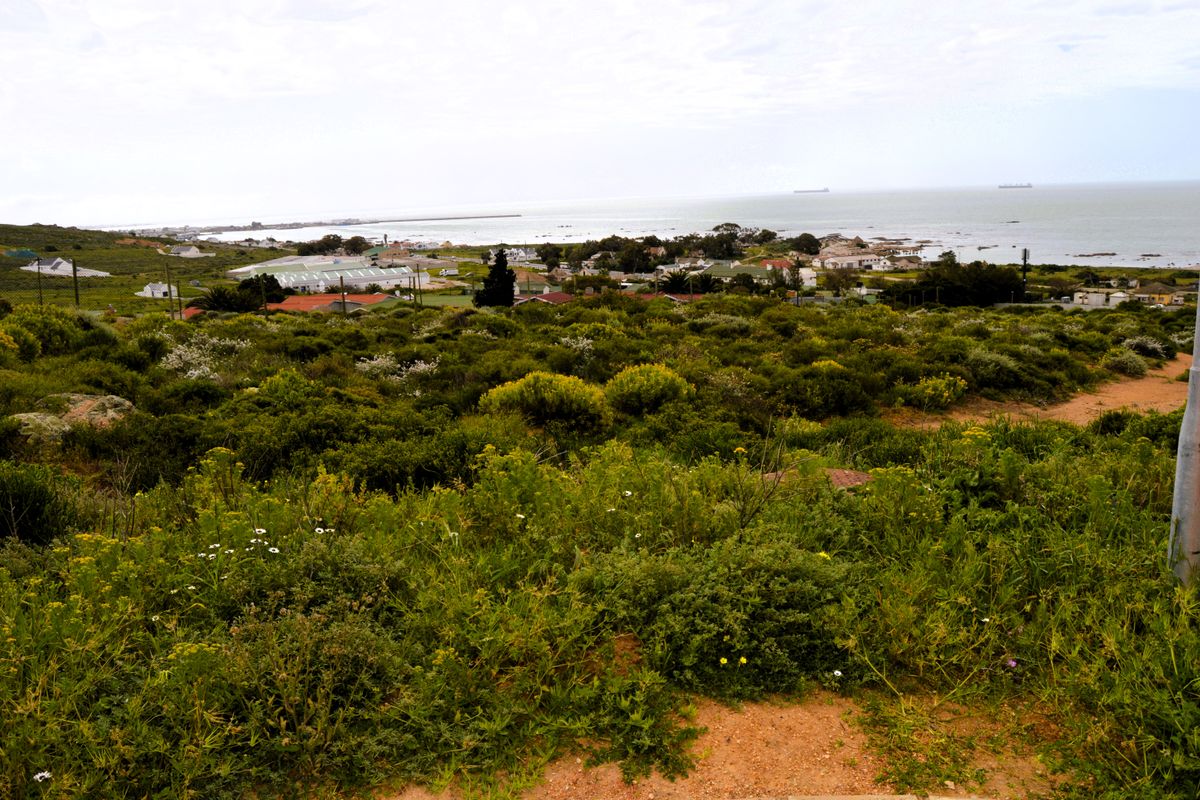 I assuredly do love this view - Photo 2