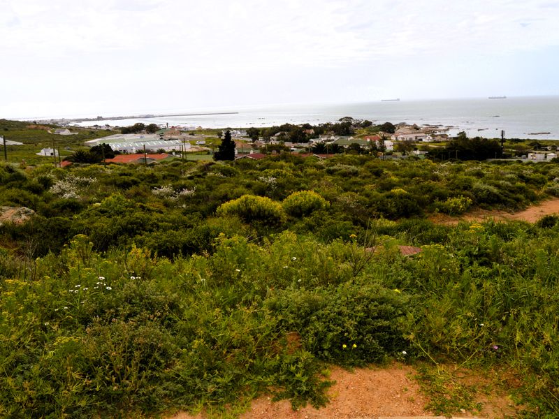 I assuredly do love this view - Photo 2