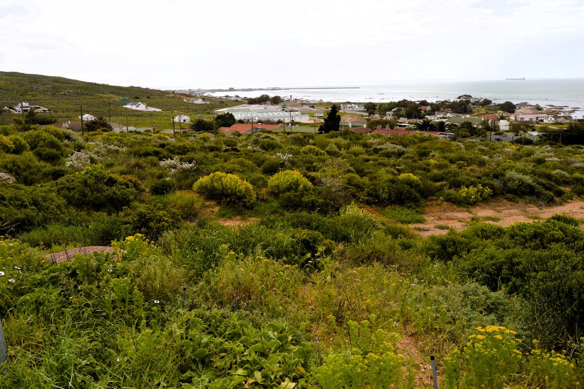 I assuredly do love this view - Photo 4