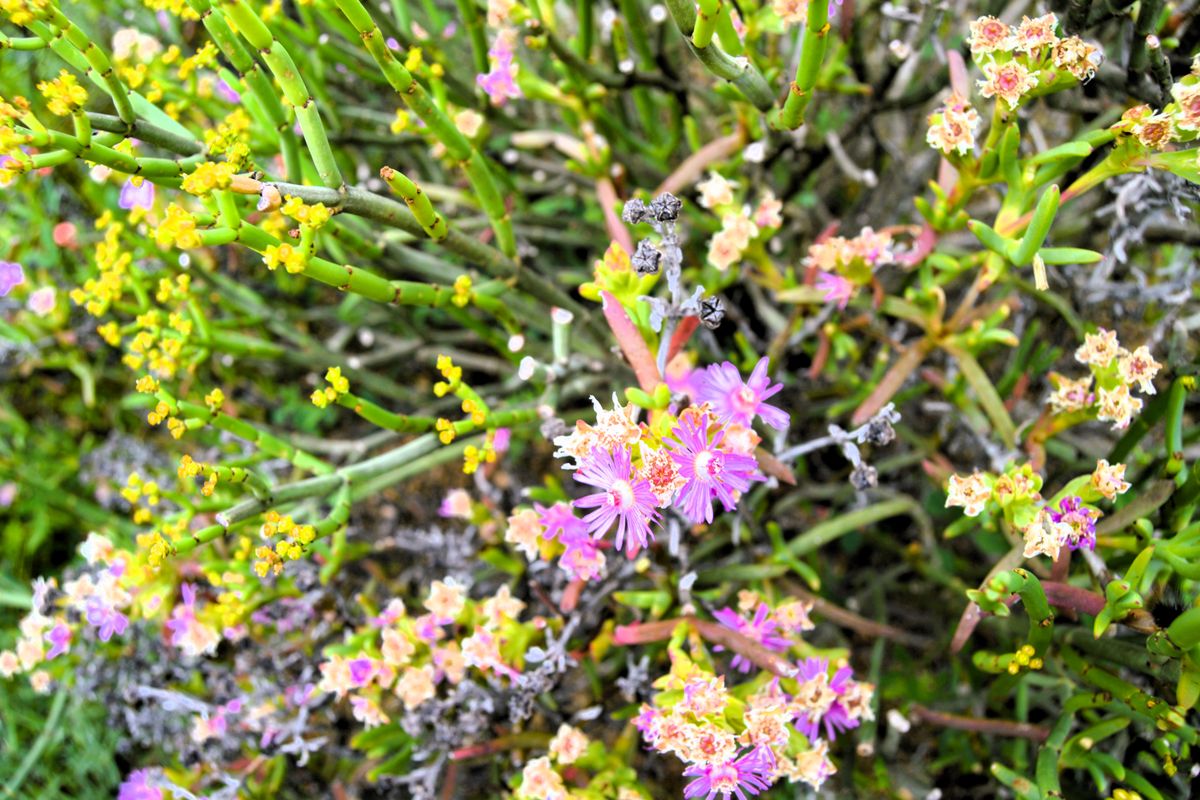 I assuredly do love this view - Photo 5