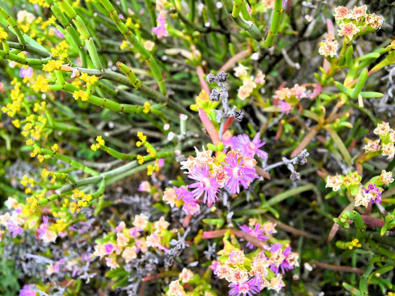 I assuredly do love this view - Photo 5