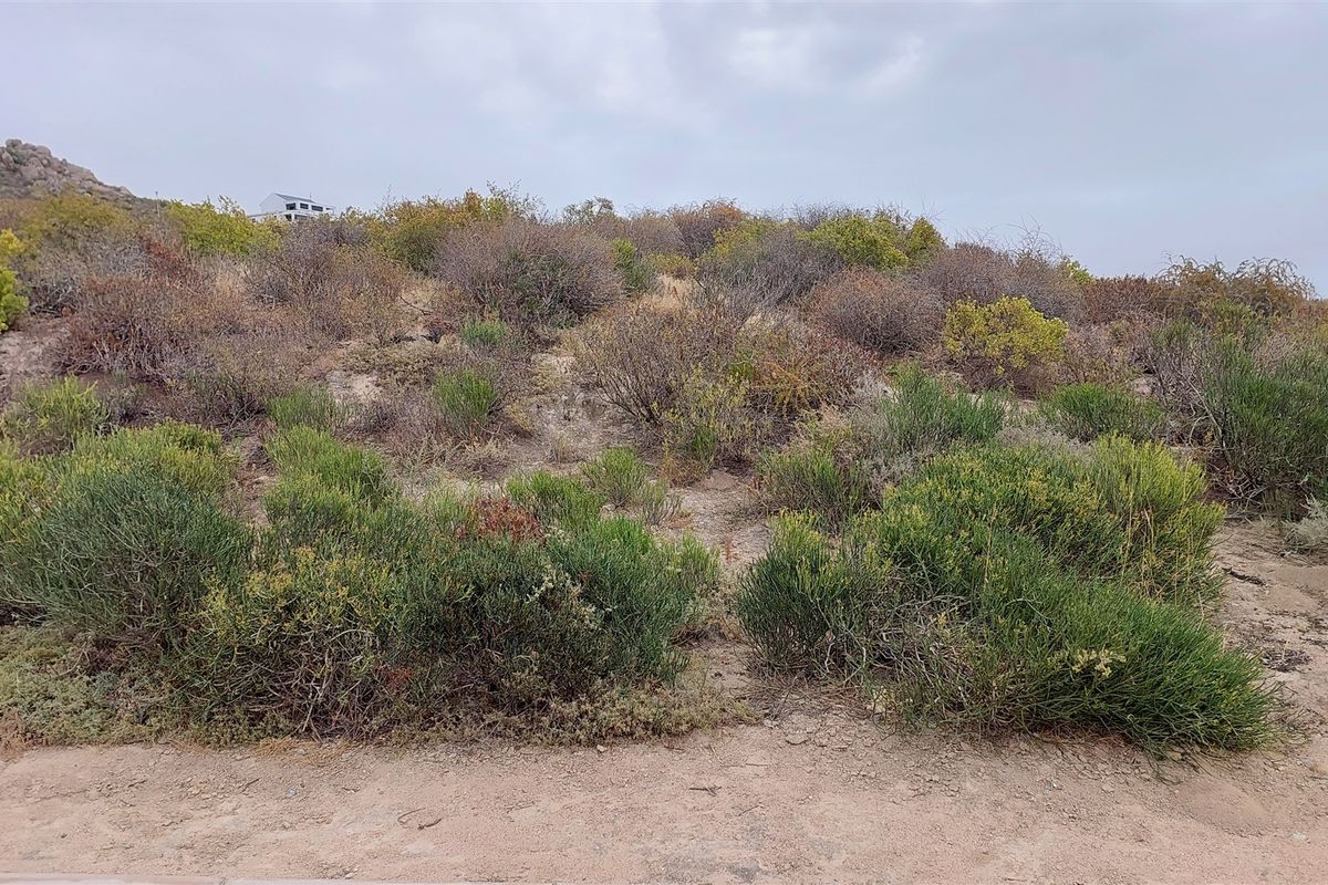 Unobstructed ocean views - Photo 3