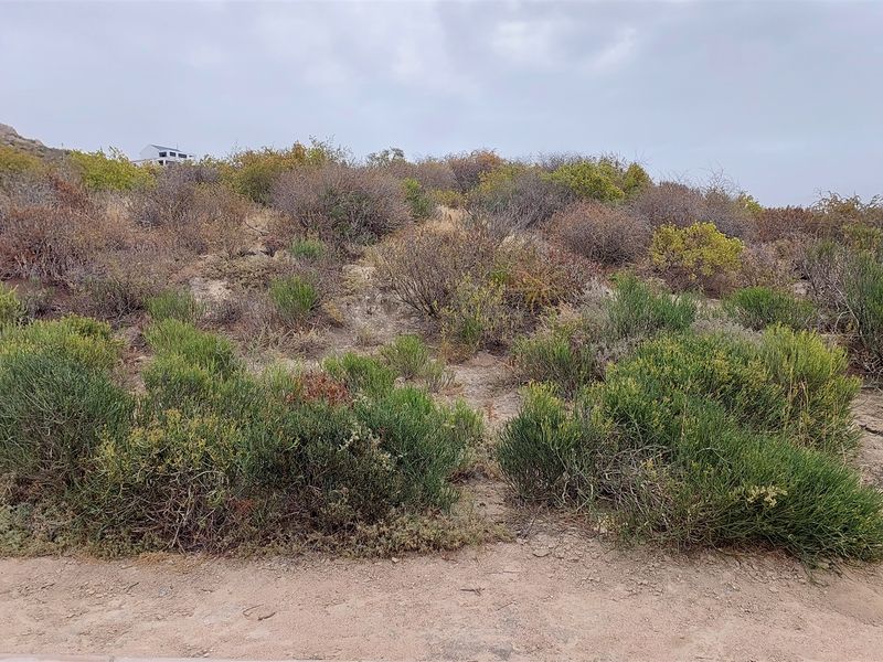 Unobstructed ocean views - Photo 3