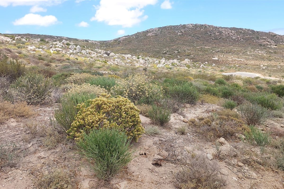 St Helena Bay Near the beach, you can live in bliss - Photo 2