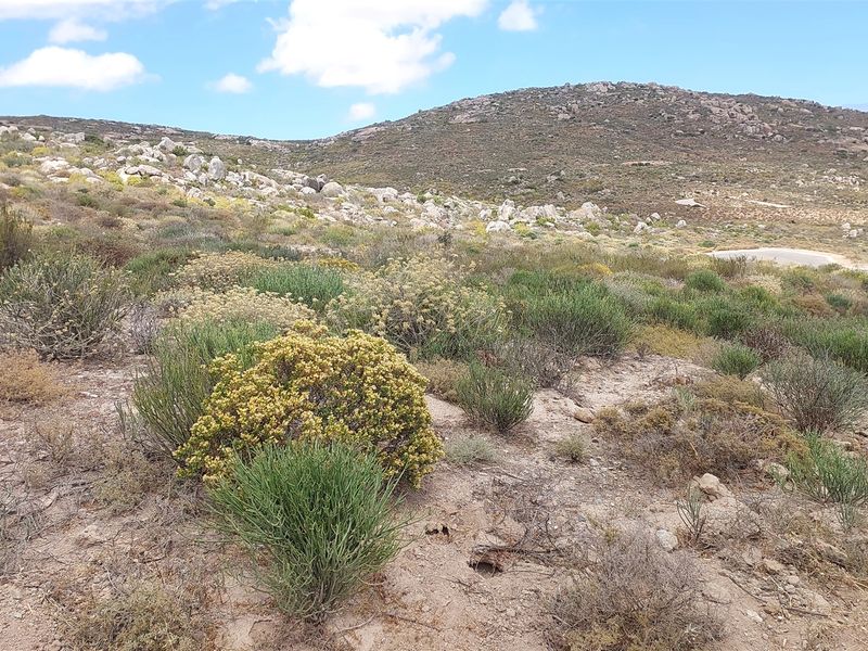 St Helena Bay Near the beach, you can live in bliss - Photo 2