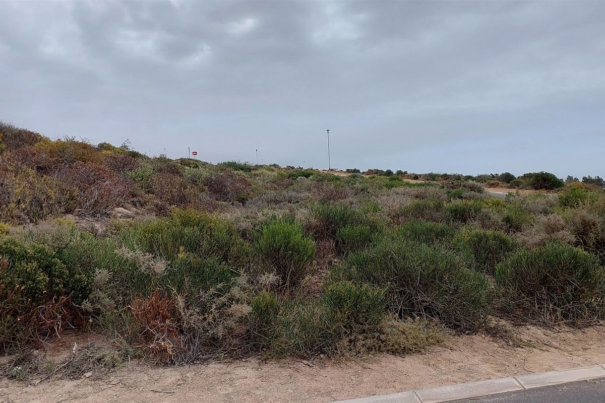 St Helena Bay Near the beach, you can live in bliss - Photo 3