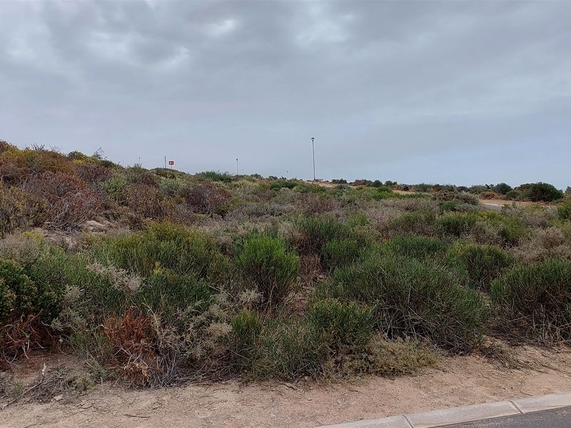 St Helena Bay Near the beach, you can live in bliss - Photo 3