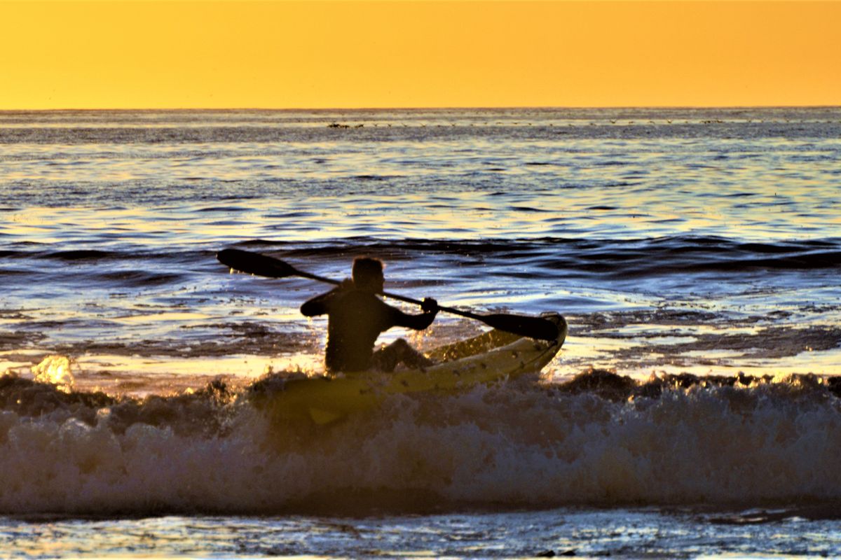 Pretty sure my birthstone is a seashell - Photo 4