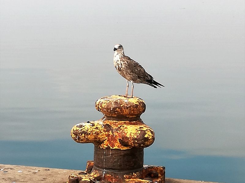 Pretty sure my birthstone is a seashell - Photo 3