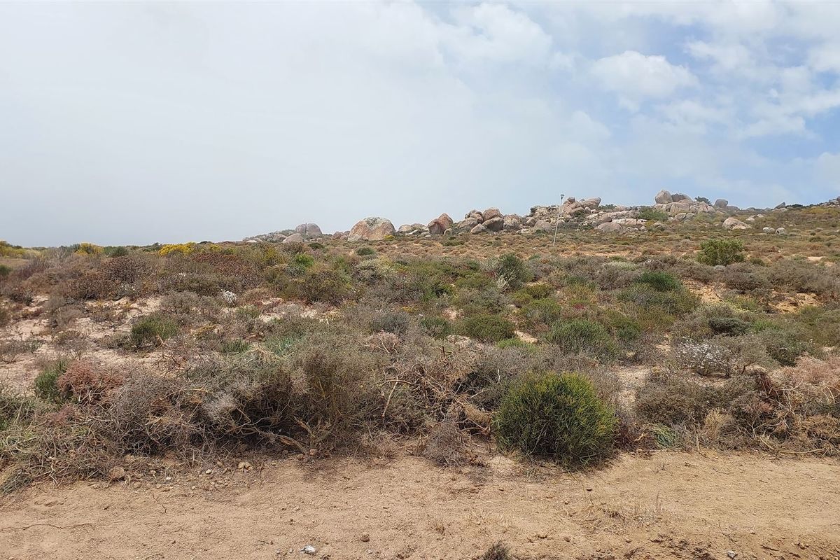 If you need me, call me on my shell - Photo 2