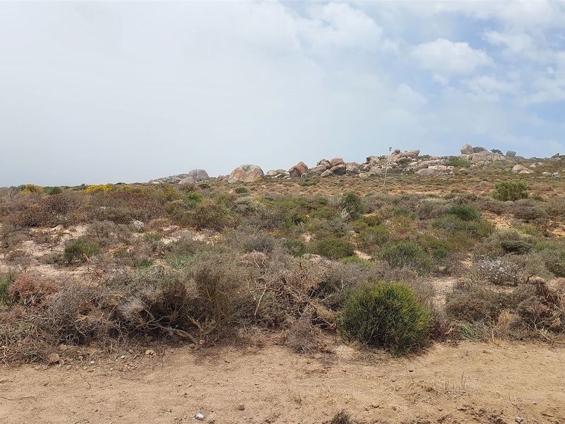 If you need me, call me on my shell - Photo 2