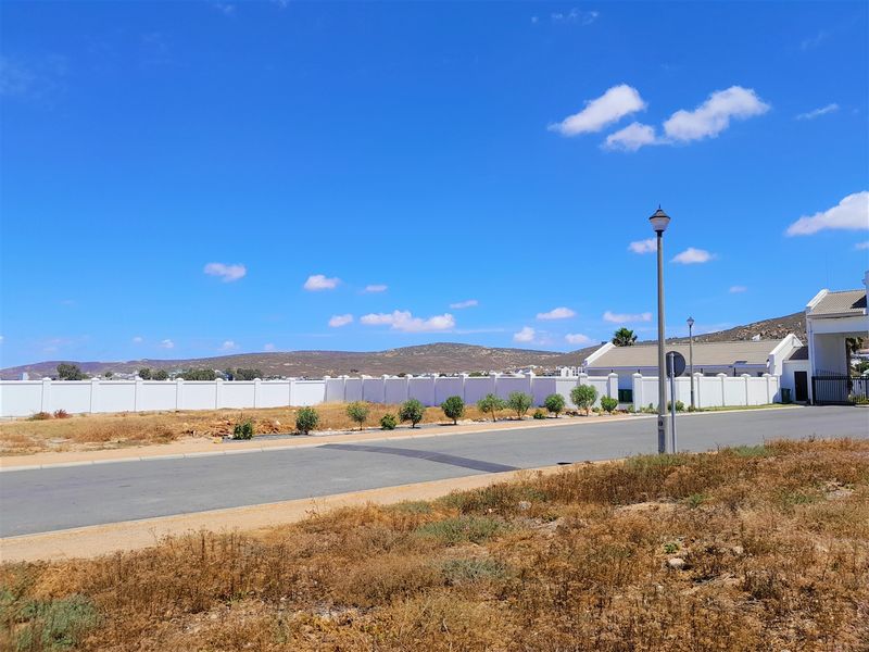 Spectacular Views from this property - Photo 7