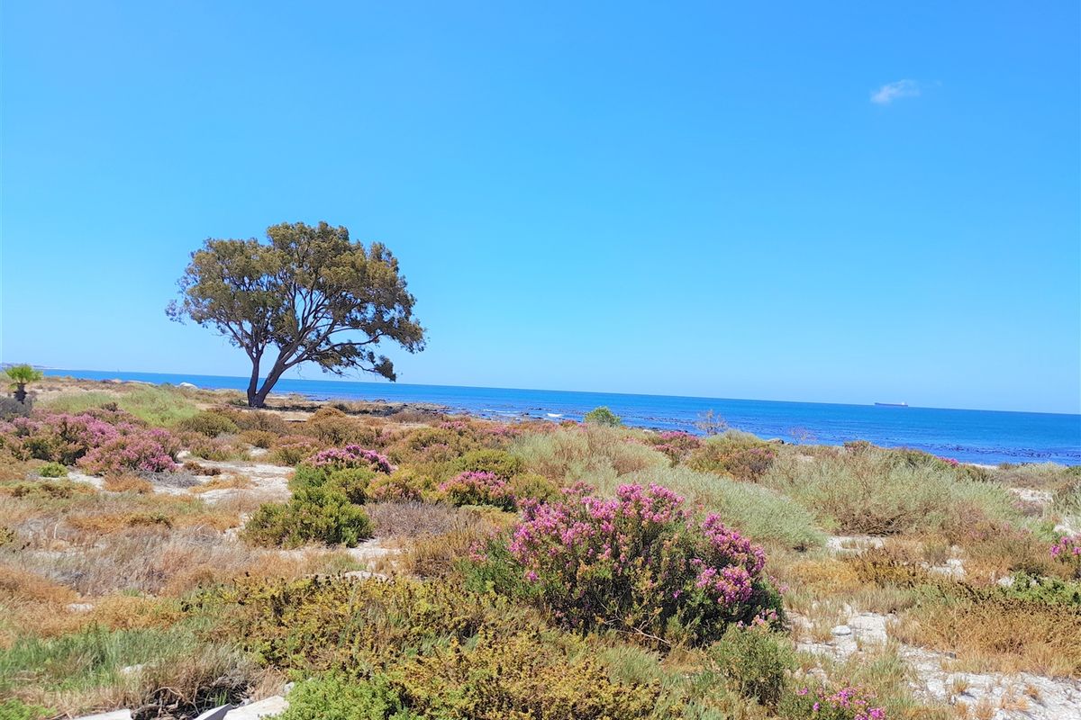 Spectacular Views from this property - Photo 5