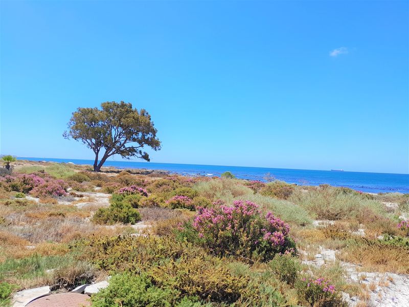 Spectacular Views from this property - Photo 5