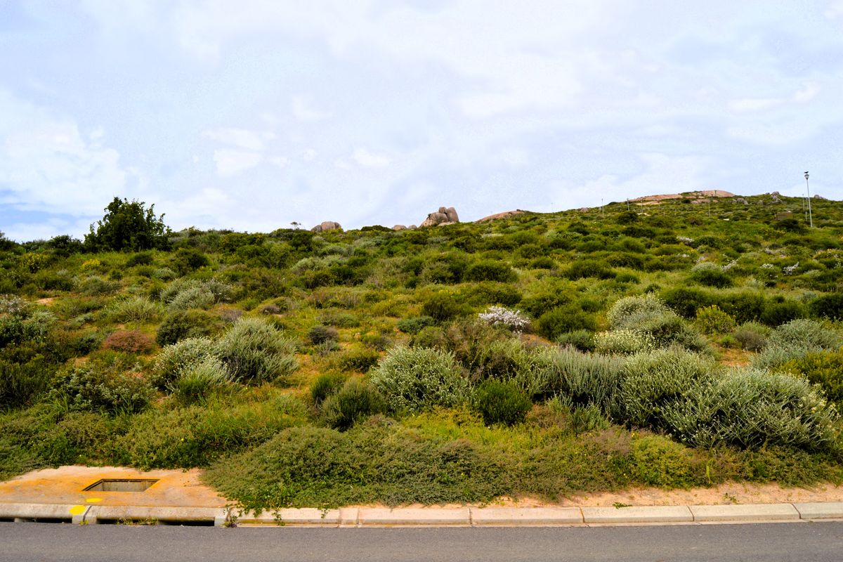 Good vibes happen on the tides - Photo 3