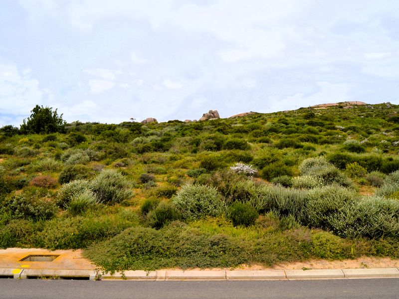 Good vibes happen on the tides - Photo 3