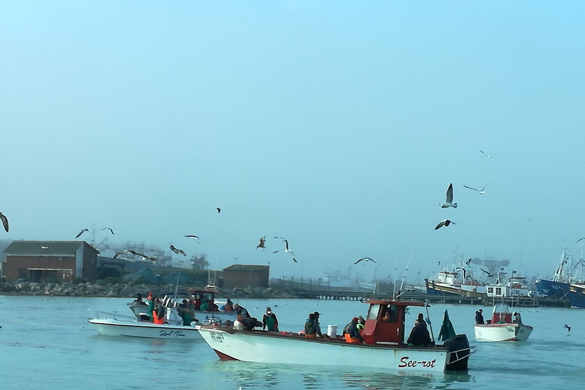 Good vibes happen on the tides - Photo 5