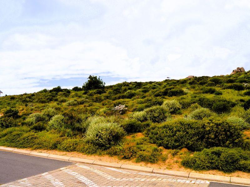 Good vibes happen on the tides - Photo 7