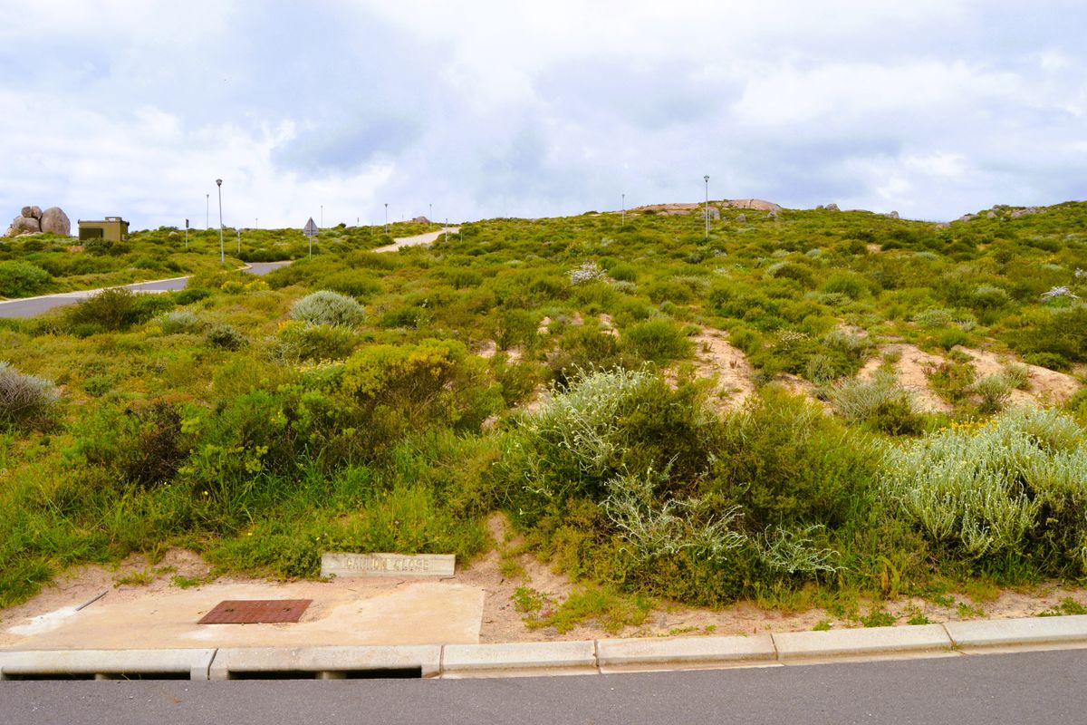 Good vibes happen on the tides - Photo 3