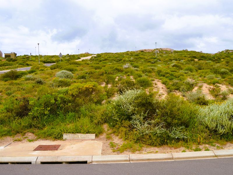 Good vibes happen on the tides - Photo 3