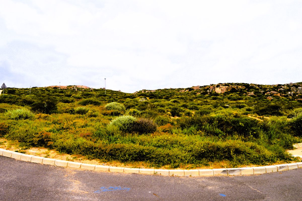 Good vibes happen on the tides - Photo 4