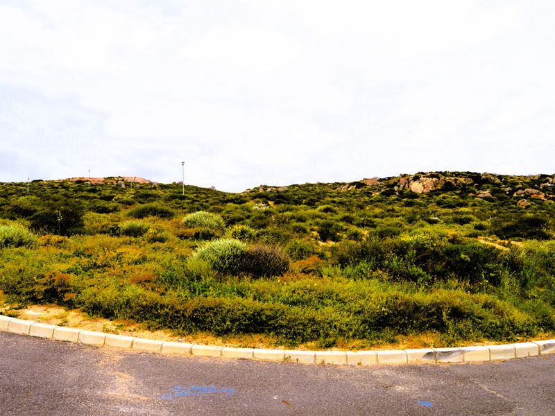 Good vibes happen on the tides - Photo 4