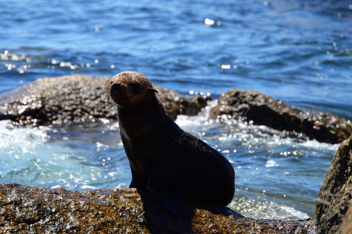 Good vibes happen on the tides - Photo 5