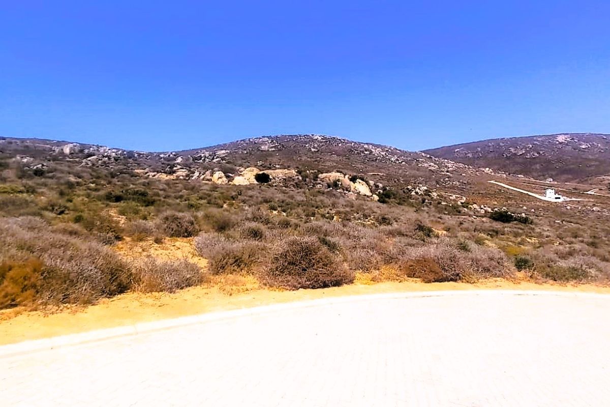 Good vibes happen on the tides - Photo 3