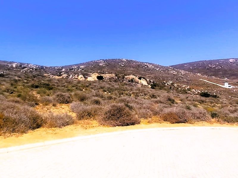 Good vibes happen on the tides - Photo 3